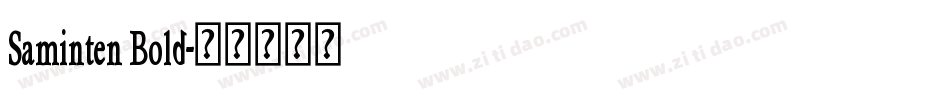 Saminten Bold字体转换